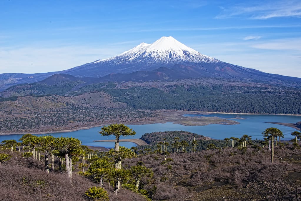 Datos de Turismo, Alojamientos, Camping en Cunco
