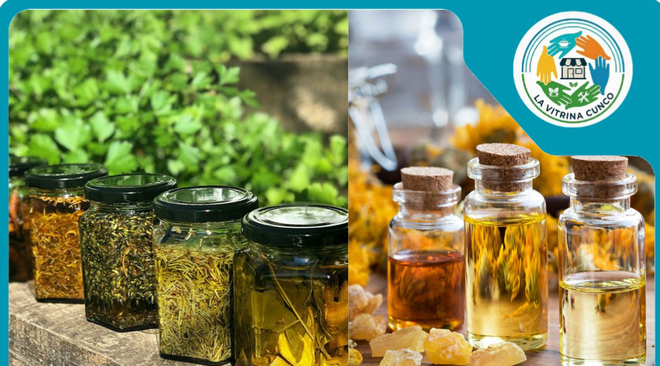 Medicina natural Kume Mongen Cunco